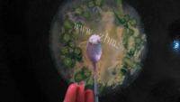 美味的秋葵蛋花汤