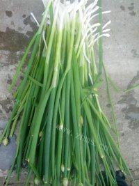 健康美食之葱油饼做法图解1)
