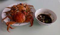 口感饱满的清蒸螃蟹
