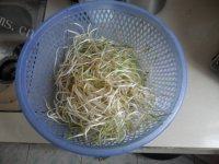 鲜香的素炒绿豆芽做法图解1)