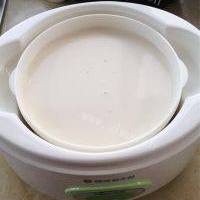 解暑「手工美食」红枣酸奶的做法图解九