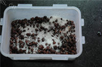 美味的香甜蜜红豆做法图解3)