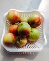 可口的桃子冰皮月饼做法图解8)