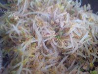 易做的韭菜炒豆芽做法图解4)