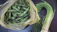 家常菜蒜苗炒蚕豆做法图解1)
