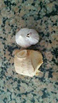美味的炒花甲做法图解4)