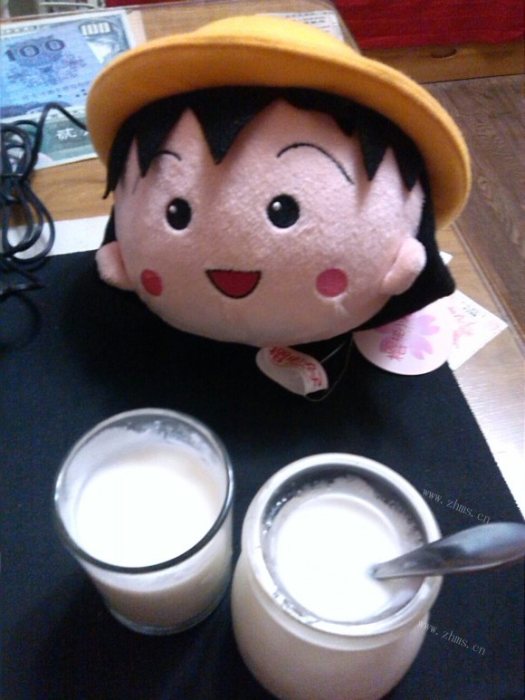 酸奶DIY