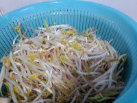 色味俱佳的素炒绿豆芽做法图解1)