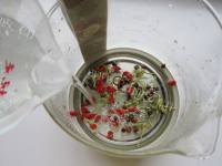 清热解渴的金银花胎菊茶做法图解5)