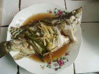 「家有大厨」清蒸鳜鱼