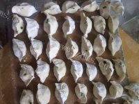 喷香的三鲜饺子做法图解7)