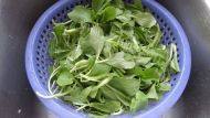 家常菜西红柿青菜汤做法图解2)