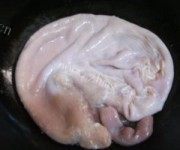 美味的白果腐竹猪肚汤做法图解1)
