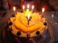 自制生日蛋糕做法图解33)