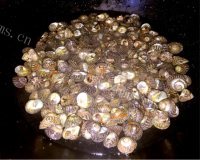 美味白灼海波罗做法图解4)