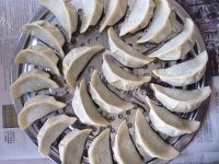 补血的韭菜猪肉水饺做法图解11)