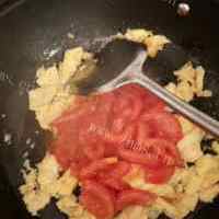 喷香的西红柿炒蛋的做法图解九