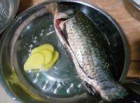 自制鲫鱼豆腐汤做法图解1)