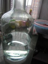 酸甜的杨梅酒做法图解3)