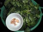 蒜香菠菜做法图解1)