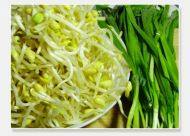 可口的韭菜炒豆芽做法图解1)