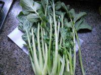 家常菜清炒苔菜做法图解1)