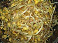 家常菜黄豆芽炒粉丝做法图解1)