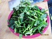 白菜丝拌海蜇做法图解4)