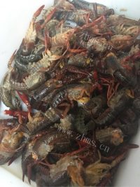 鲜美可口的麻辣小龙虾做法图解1)