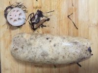 喷香的清炒藕片做法图解1)