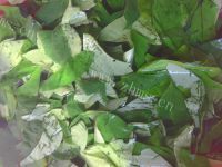家常小菜蒜蓉豆角叶做法图解4)