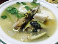 美味的昂刺鱼豆腐汤