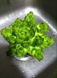 家常菜凉拌娃娃菜做法图解1)