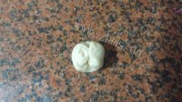 老婆饼做法图解14)