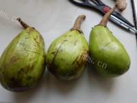 美味的蒜泥蒸青茄子做法图解1)