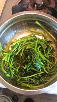 五味俱全的蒜蓉茼蒿做法图解11)
