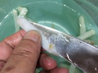 黄花菜滚沙虫干做法图解3)