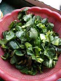 香气浓郁的炒青菜做法图解1)