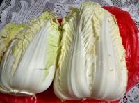 家常菜醋溜白菜丝做法图解1)