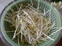 自制黄豆芽炒粉条做法图解3)