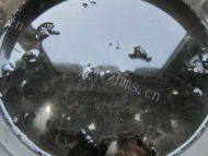 家常芥末木耳做法图解2)