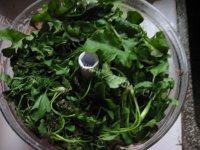 自己做的荠菜鲜肉饺子做法图解3)