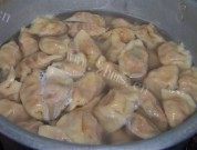 自制胡萝卜素馅饺子