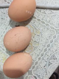 唇齿留香的西红柿炒鸡蛋做法图解2)