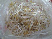 凉拌豆芽做法图解1)