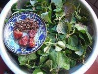 家常菜凉拌鱼腥草叶做法图解2)