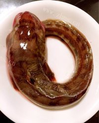 好吃的鲶鱼炖茄子做法图解1)
