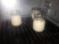 自制焦糖炼乳布丁