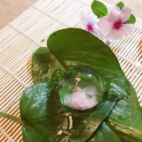 樱花水信玄饼做法图解8)