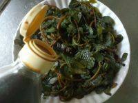很有食欲的蒸马齿苋